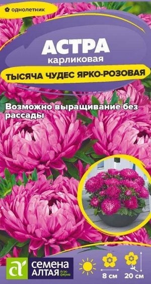 Цветы Астра Тысяча чудес ярко-розовая карликовая/Сем Алт/цп 0,15 гр.