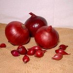 Лук Севок Ред Кармен