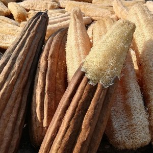 Мочалка натуральная из люффы (в ассортименте)