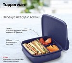 Ланч Школьник синий 550мл 1шт - Tupperware®.