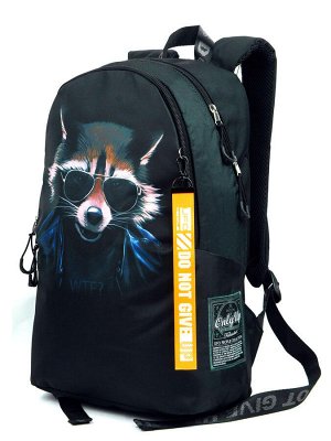 Рюкзак Легкий молодежный рюкзак с ярким принтом. Благодаря плотным лямкам и дышащей спинке может использоваться, как рюкзак для школы, в средних и старших классах, а также для спортивных тренировок де