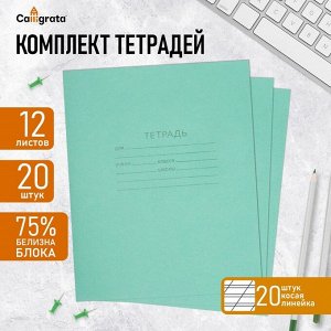 Набор тетрадей, 12 листов в косую линейку, «Зелёная обложка», серые листы, 20 штук