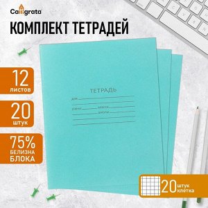 Набор тетрадей 12 листов в клетку «Зелёная обложка», серые листы, 20 штук