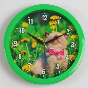 Соломон Часы настенные &quot;Котёнок&quot;, зелёный обод, 28х28 см, микс