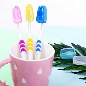 Антибактериальные колпачки для зубных щеток "Clips Brush" 4 шт