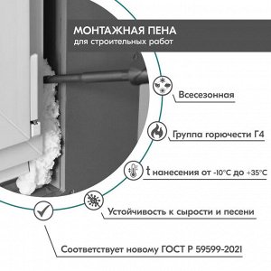 Монтажная пена профессиональная всесезонная DONEWELL 70 1000мл