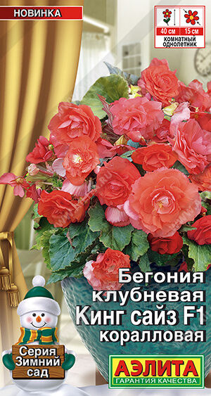 Бегония клубневая Кинг Сайз F1 коралловая
