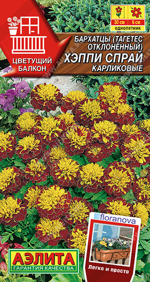 Бархатцы Хэппи спрай карликовые