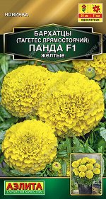 Бархатцы Панда F1 желтые прямостоячие