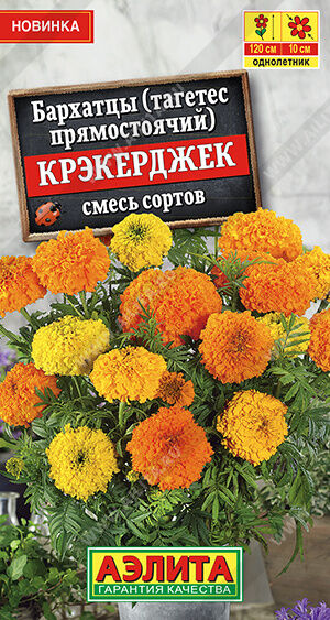 Бархатцы Крэкерджек прямостоячие, смесь сортов