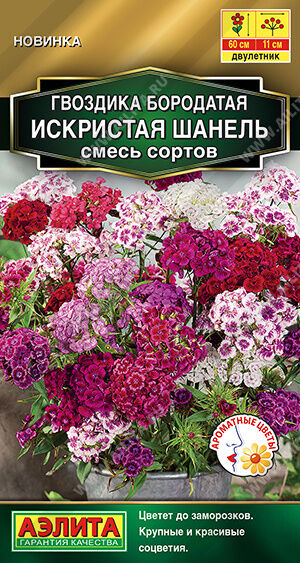 Гвоздика Искристая Ш а н е л ь, смесь сортов