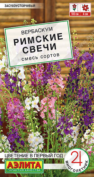 Вербаскум Римские свечи, смесь сортов