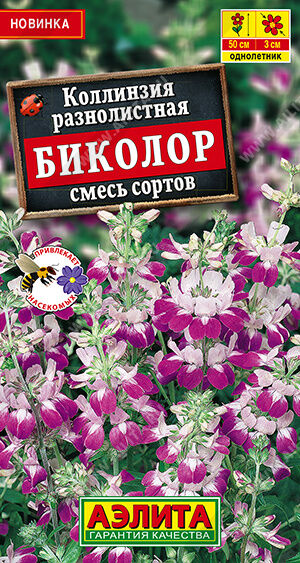 Коллинзия Биколор, смесь сортов