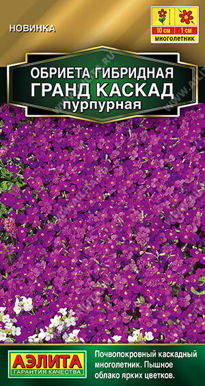 Обриета Гранд каскад пурпурная