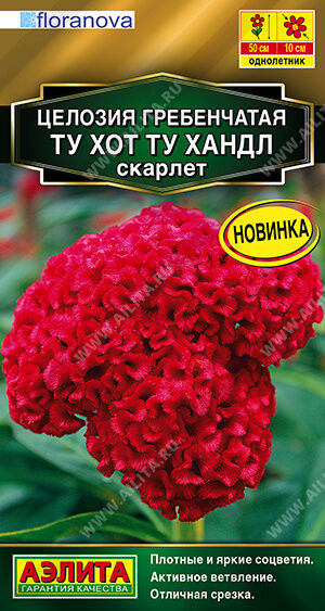 Целозия гребенчатая Ту хот ту хандл скарлет