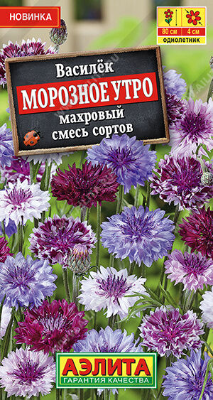 Василек Морозное утро махровый, смесь сортов