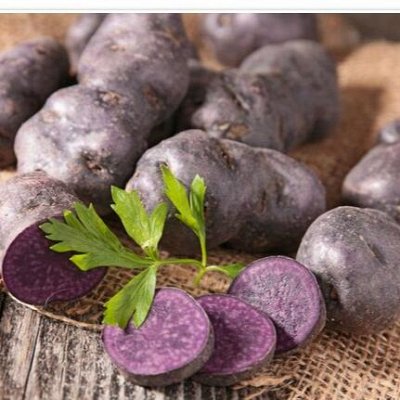 Распродажа семенной фиолетовый  картофель, лук, ирисы и розы