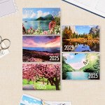 Календарь 2025 год карманный «Природа» МИКС 7x10 см