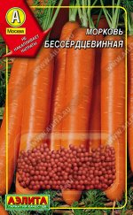 Морковь Бессердцевинная (Дражированные семена)