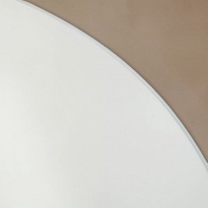 Зеркало интерьерное настенное, овальное, 50x110 см