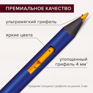 Карандаши художественные цветные акварельные, 48 цв, 4мм, металл кейс, BRAUBERG ART PREMIERE, 181924