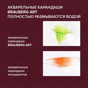 Карандаши художественные цветные акварельные, 48 цв, 4мм, металл кейс, BRAUBERG ART PREMIERE, 181924