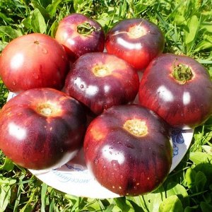 Помидоры — Amethyst Jewel — Аметист