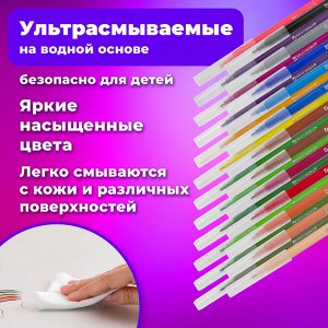 Фломастеры BRAUBERG PREMIUM, 24 цвета, УЛЬТРА-СМЫВАЕМЫЕ, картонная коробка, 151940