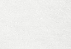 FUSION white