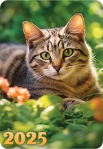 Карманный календарь 2025 &quot;Кошки&quot;
