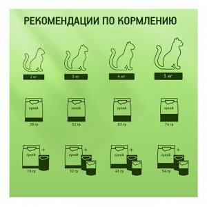 Влажный корм Kitekat Сочная говядина в соусе для кошек 85 г