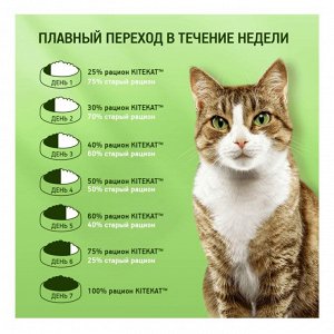Влажный корм Kitekat Сочная говядина в соусе для кошек 85 г