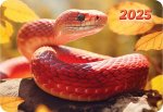 Карманный календарь 2025 &quot;Символ года&quot;