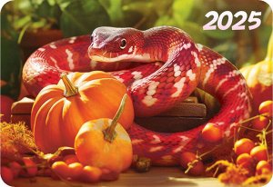Карманный календарь 2025 "Символ года"