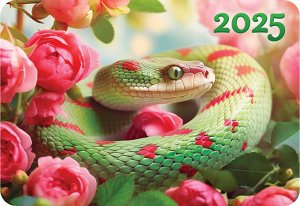 Карманный календарь 2025 "Символ года"