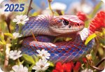 Карманный календарь 2025 &quot;Символ года&quot;