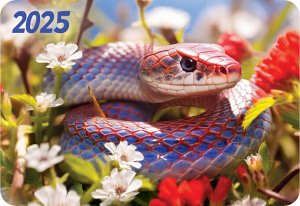 ЛиС Карманный календарь 2025 &quot;Символ года&quot;