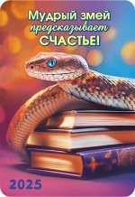 Карманный календарь 2025 &quot;Символ года&quot;