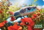 Карманный календарь 2025 &quot;Символ года&quot;