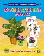_НаглядДидактПос(ПрофПр) А5 Комнатные цветы [16 об