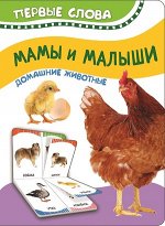 Книжки-картонки и книжки-игрушки