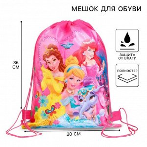 Мешок для обуви 28x36 см, «Принцессы»