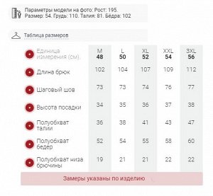 Брюки утепленный мужской зимние спортивные серого цвета 21137Sr