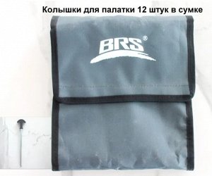 Набор колышков для палатки [21см, 12 шт., сумка Оксфорд 600D]