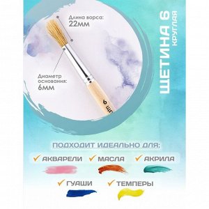 Кисть для рисования, Щетина круглая № 6 (диаметр обоймы 6 мм; длина волоса 22 мм), деревянная ручка, Calligrata