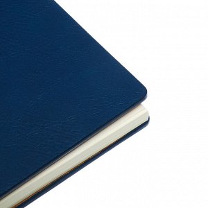 Ежедневник недатированный на гребне, А5, 80л, клетка, обл.кожзам, с хлястиком, синий