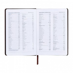Ежедневник недатированный, А5, 140л, клетка, обл.кожзам, на кнопке, Серый/коричневый