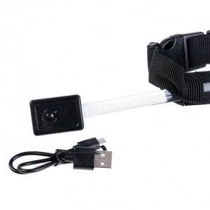 Ошейник с подсветкой, зарядка от USB, до 58 см, 3 режима свечения, чёрный
