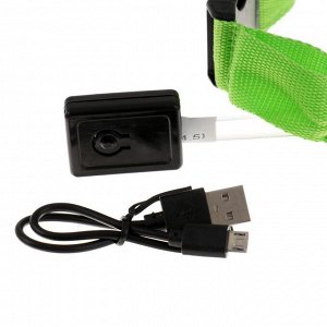 Ошейник с подсветкой, зарядка от USB, до 38 см, 3 режима свечения, зелёный