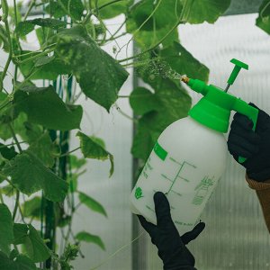 Опрыскиватель помповый, 2 л, ABS пластик, Greengo